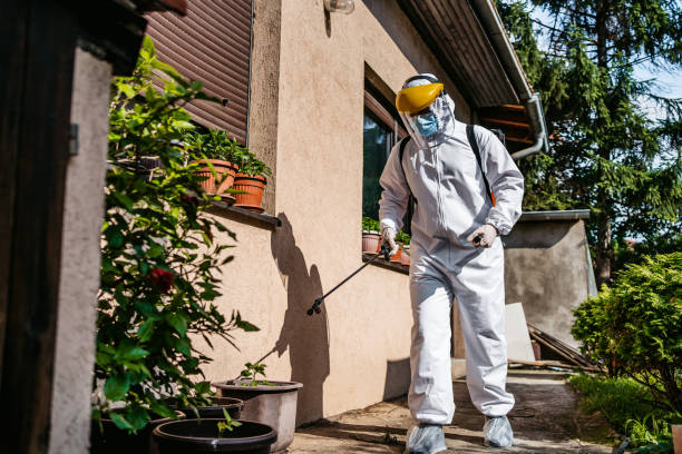 Best Wasp Removal Services  in Clear Lake, WA