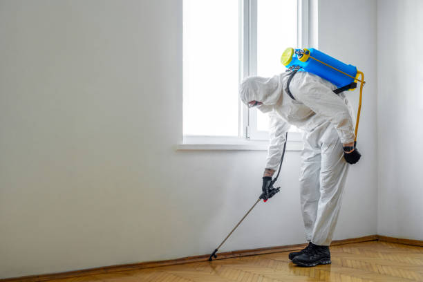 Best Termite Control Services  in Clear Lake, WA