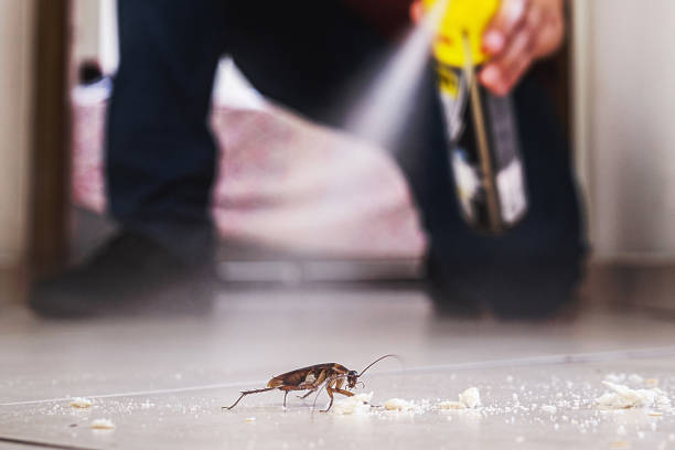 Best Best Pest Control Companies  in Clear Lake, WA