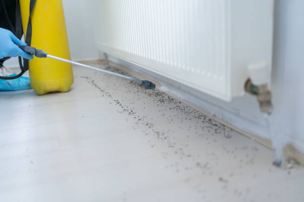 Best Rat Extermination Near Me  in Clear Lake, WA